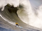 PG电子APP链接-鹈鹕展翅翱翔，强势击溃吉林—NBA季后赛焦点战深度解析