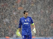 PG电子娱乐官网-温网精神，蒂姆带队完胜澳网，唯一性如何铸就草地传奇